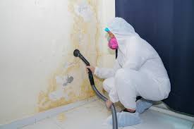 Best Biohazard Mold Removal  in Carthage, TN